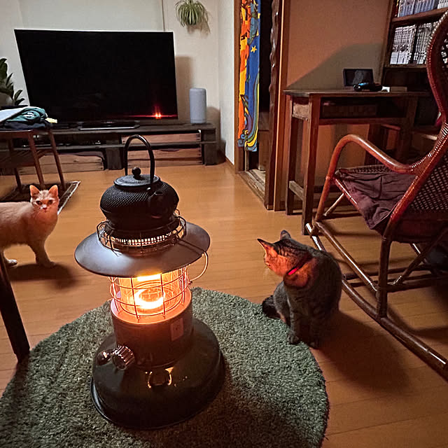 mikan161さんの実例写真