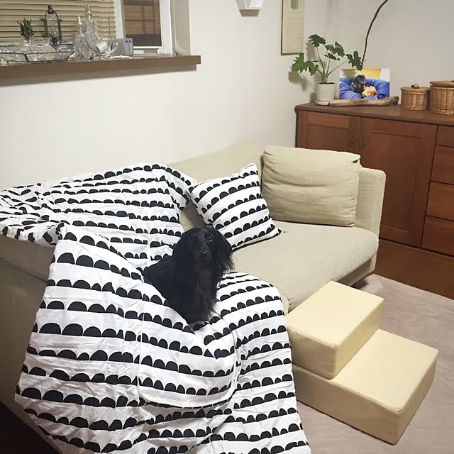 kaoru.m11さんの実例写真