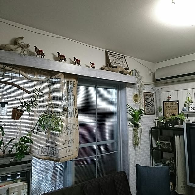 okameさんの実例写真