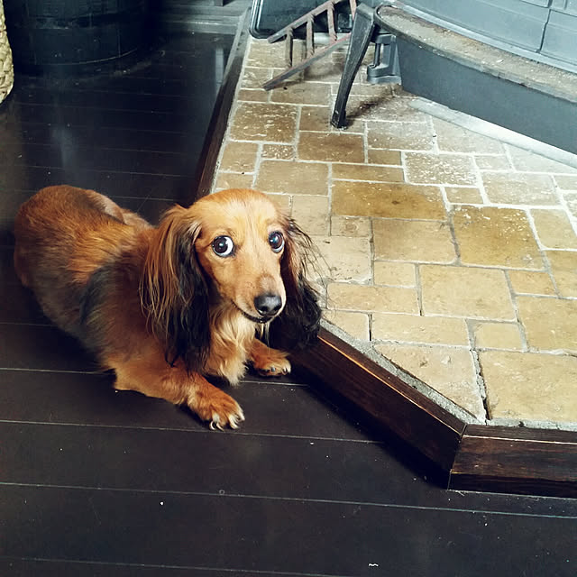 chocoさんの実例写真