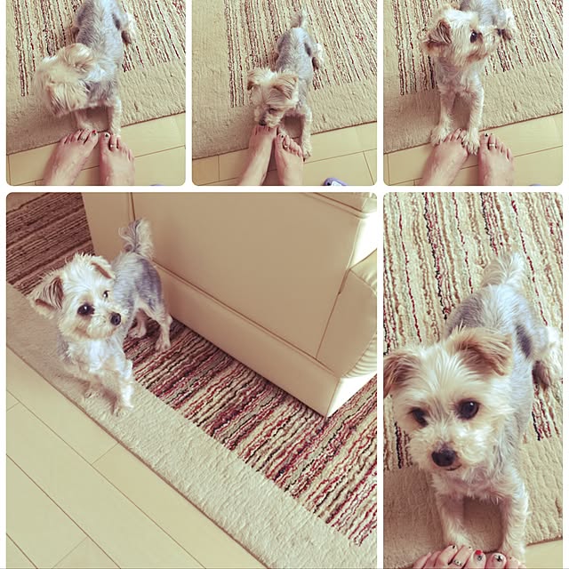 実例写真