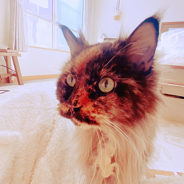 privateroomさんの実例写真