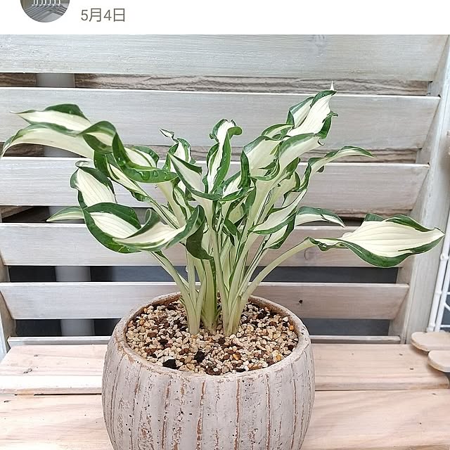 meiさんの部屋