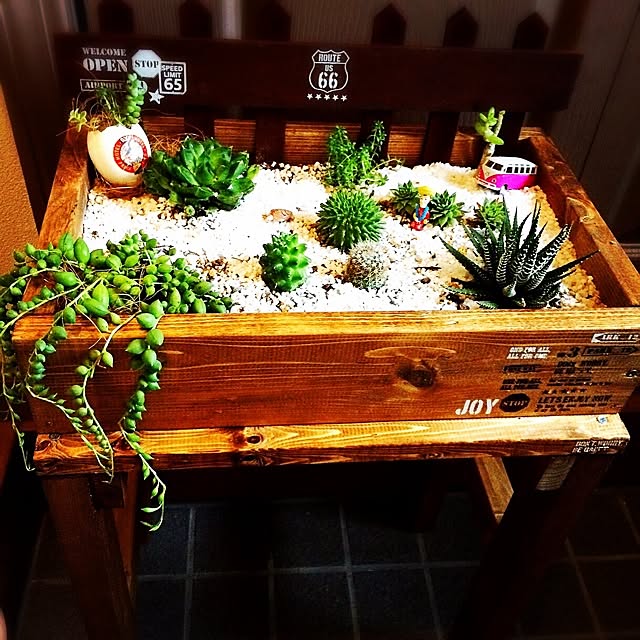 玄関/入り口/男前/DIY/セリア/多肉植物...などのインテリア実例 - 2014-09-07 16:20:16