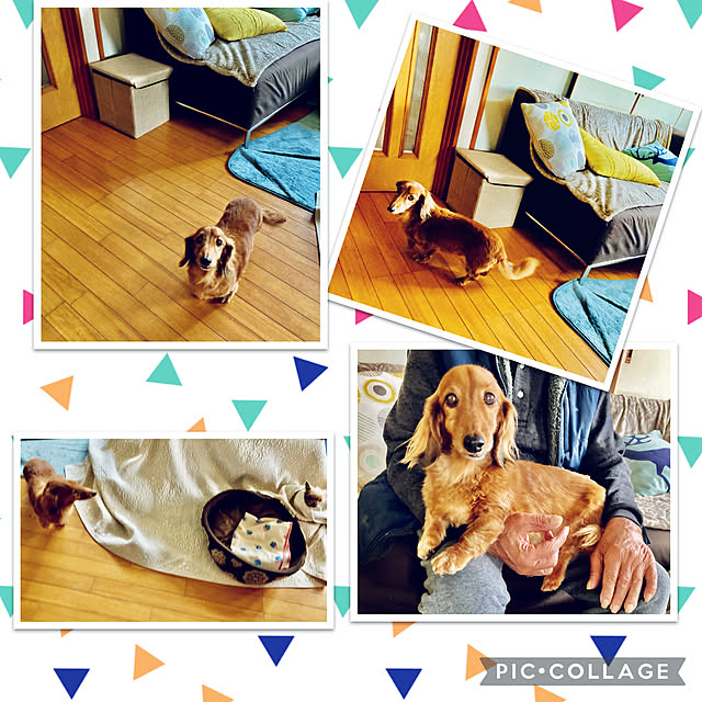 CoCo0617さんの実例写真