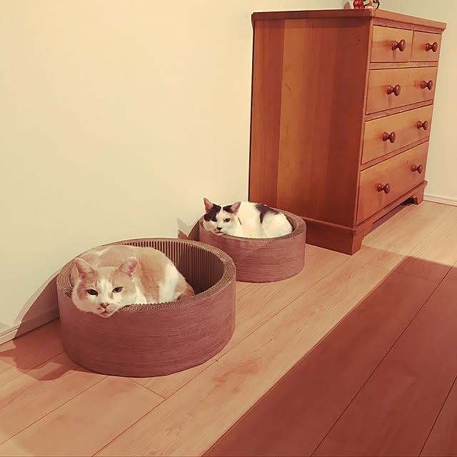 omusubiさんの実例写真