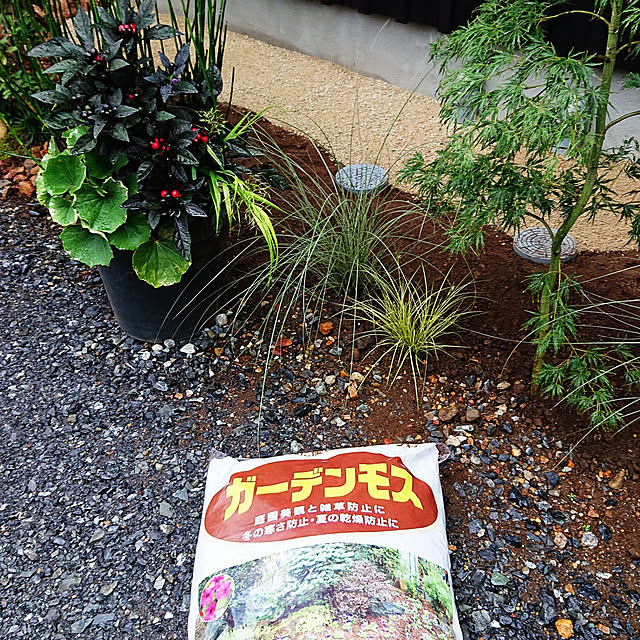 asaさんの実例写真