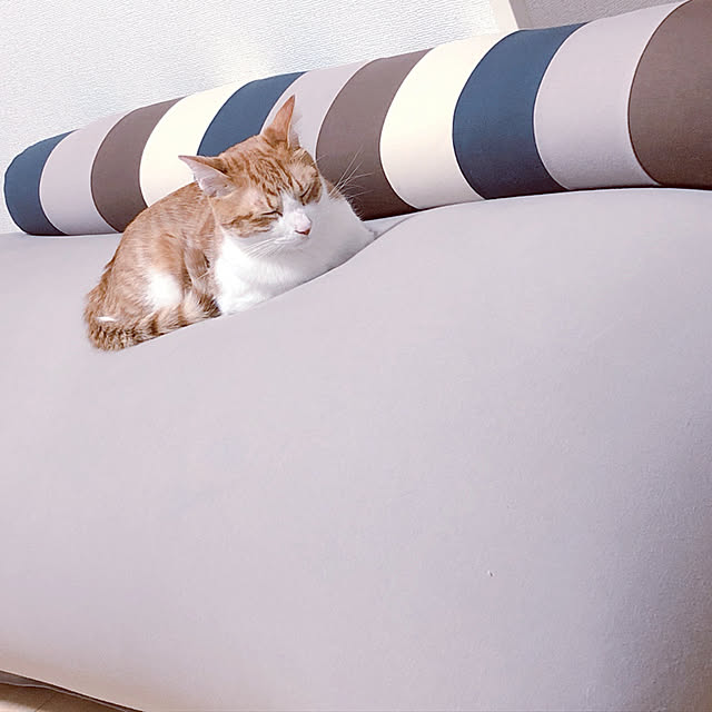 mosuさんの実例写真