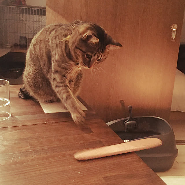 Mさんの実例写真
