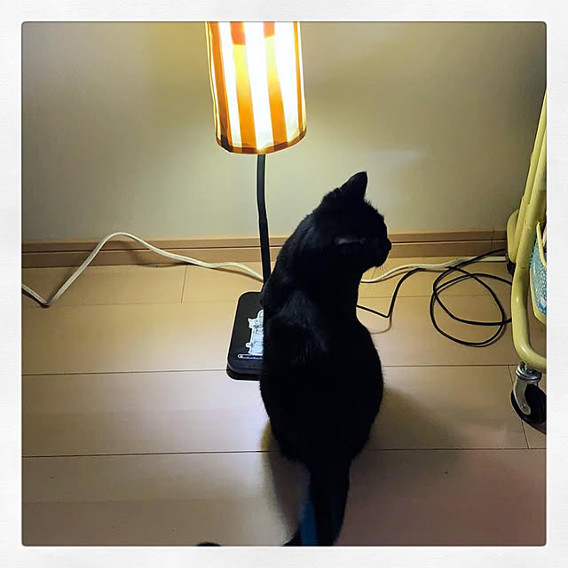 Asakiさんの実例写真