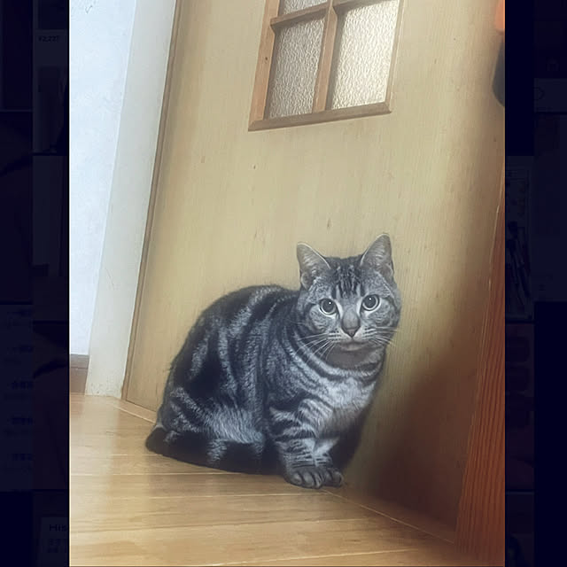 yumiさんの実例写真