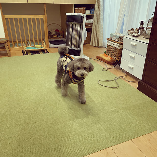 reonmamaさんの実例写真