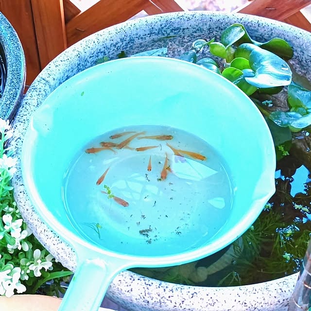 mariaさんの部屋