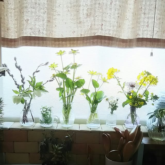 naopyiさんの実例写真