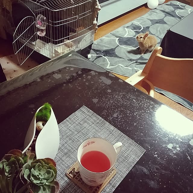 hiyu-hoさんの実例写真