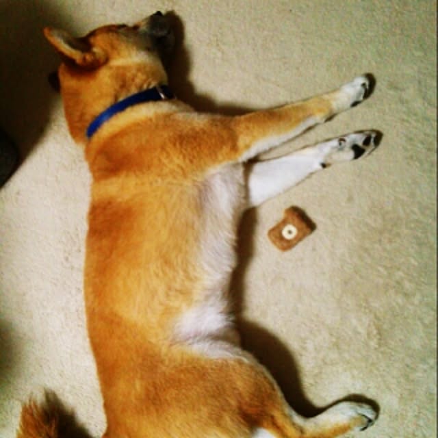 kotaさんの実例写真