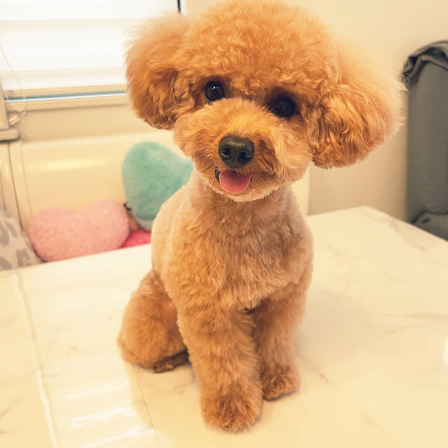 makiさんの実例写真