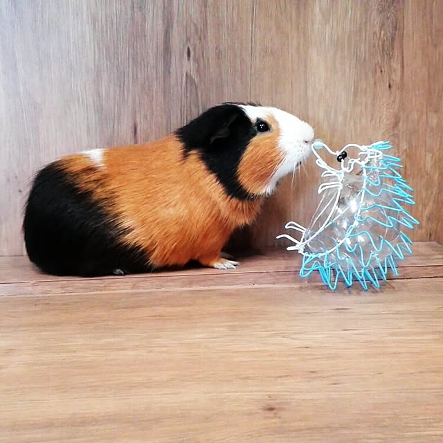 J.BOYさんの実例写真