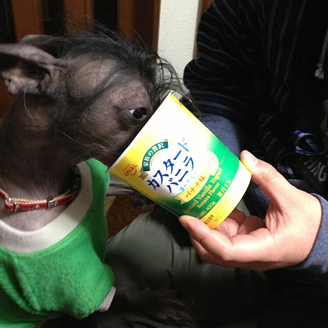 Kumikoさんの実例写真