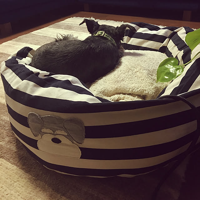 tukiさんの実例写真