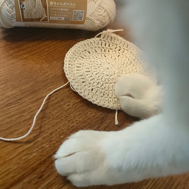 Yoko622さんの部屋