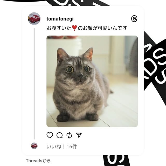 tomatoさんの部屋