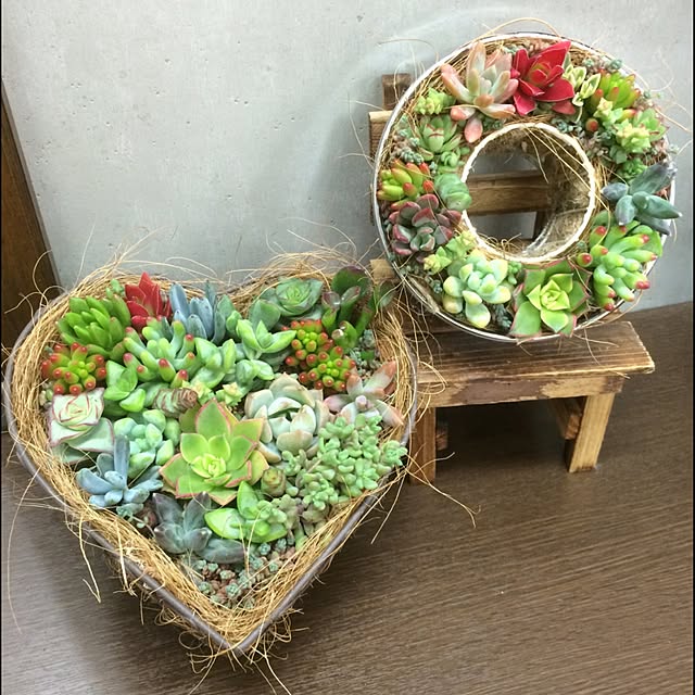 chieさんの実例写真