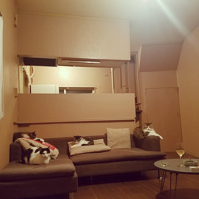 実例写真