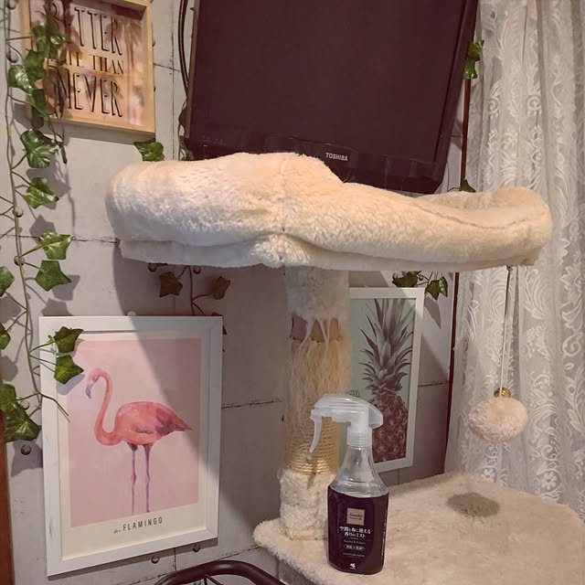 runaさんの部屋