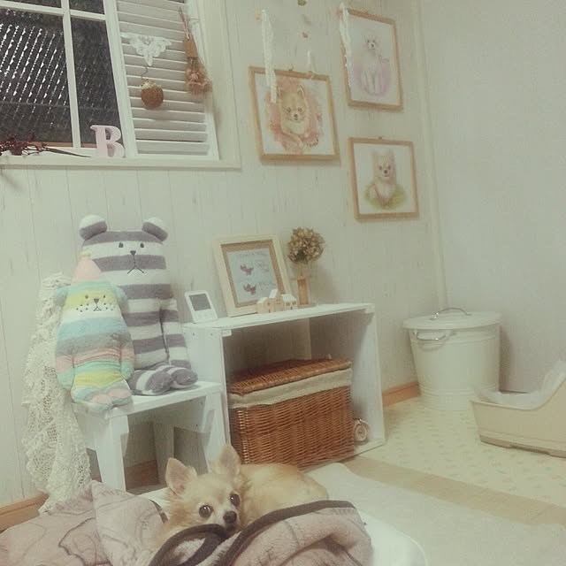 corocoroさんの実例写真