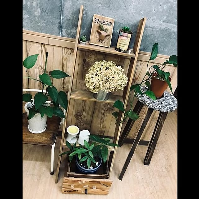 dddhhhさんの実例写真