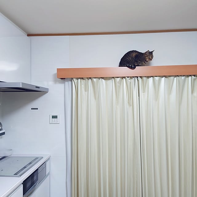 nachiさんの実例写真