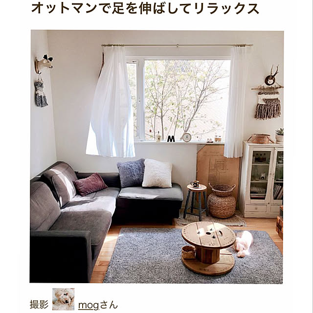 mogさんの実例写真