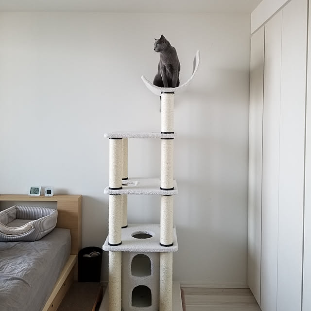 Kauruさんの実例写真