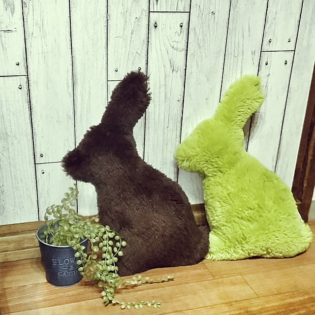 akariMAEさんの実例写真