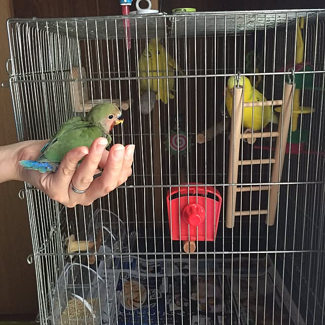 pipiさんの実例写真