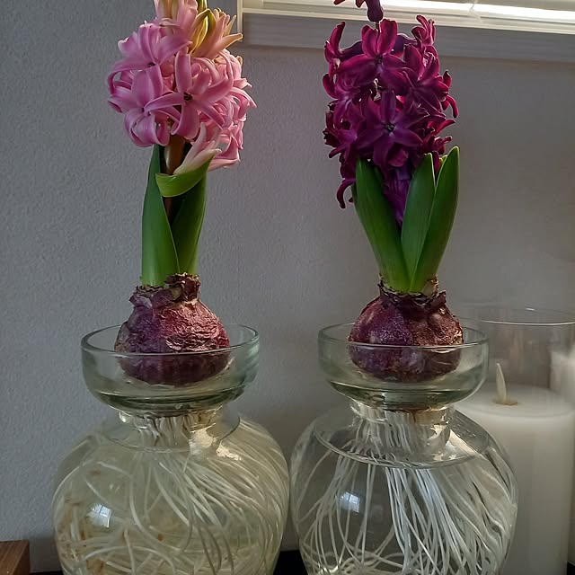 yachukoさんの部屋