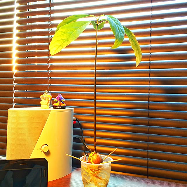 Taroyさんの実例写真