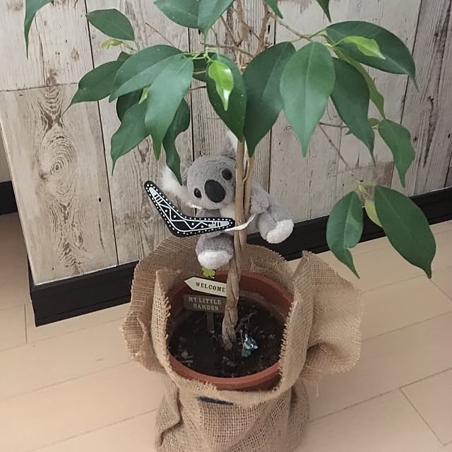 cloverさんの実例写真