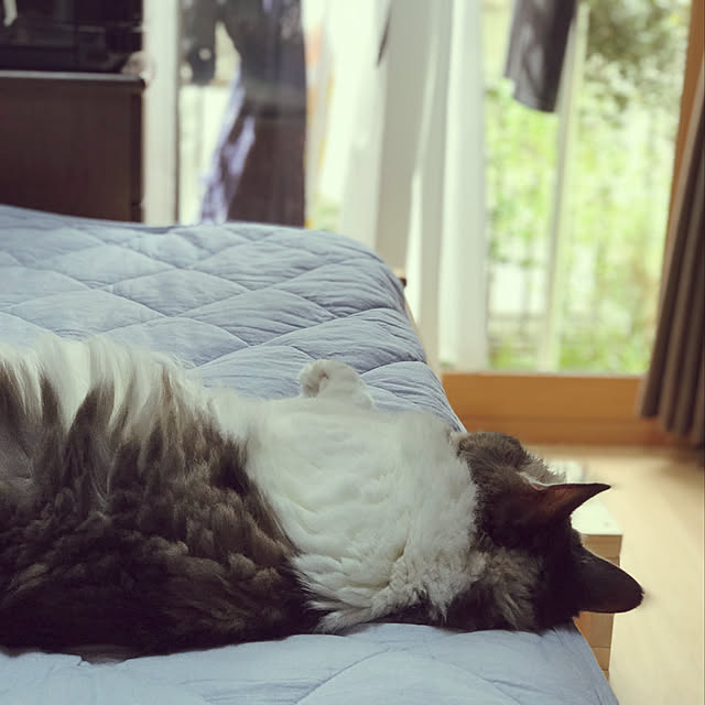 masakoさんの実例写真
