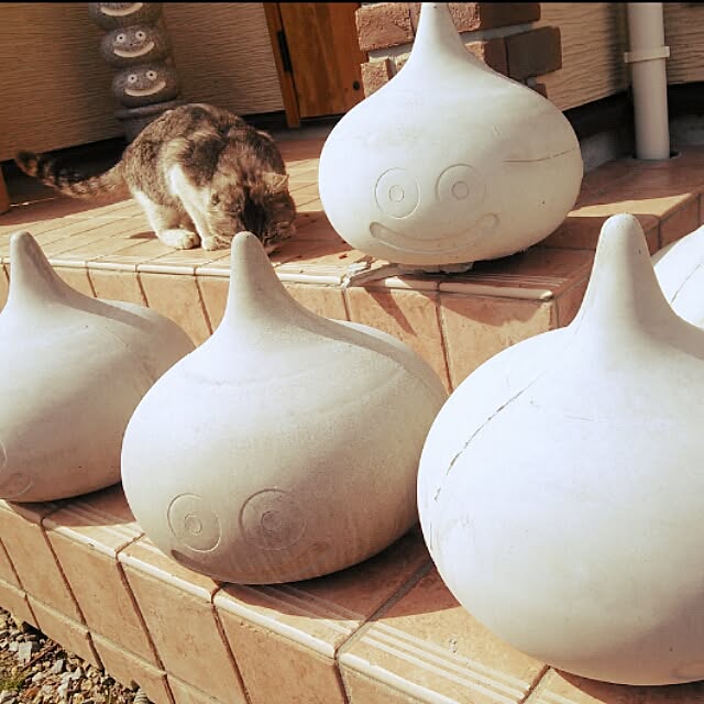k.namiさんの実例写真
