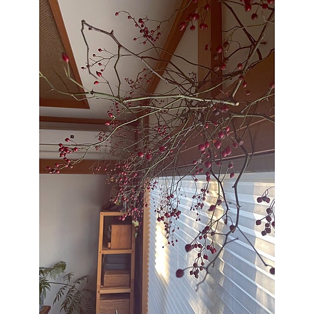 marucoさんの部屋