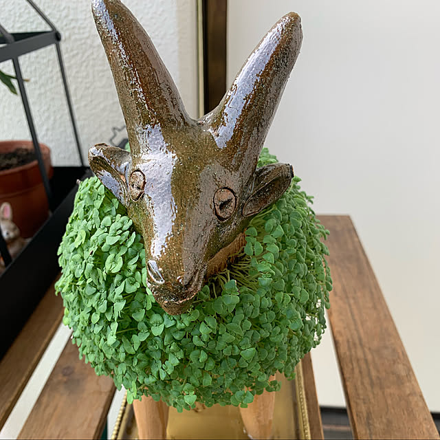 aureaさんの実例写真