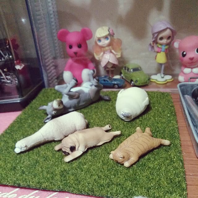yuriaさんの実例写真