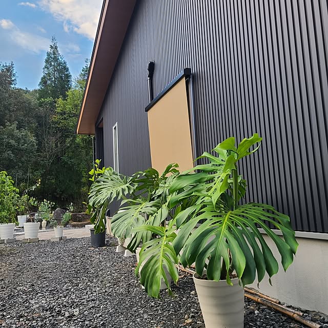 Rubiconさんの部屋