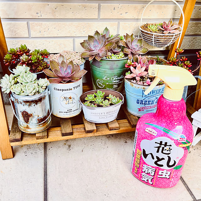 Saiiiさんの部屋