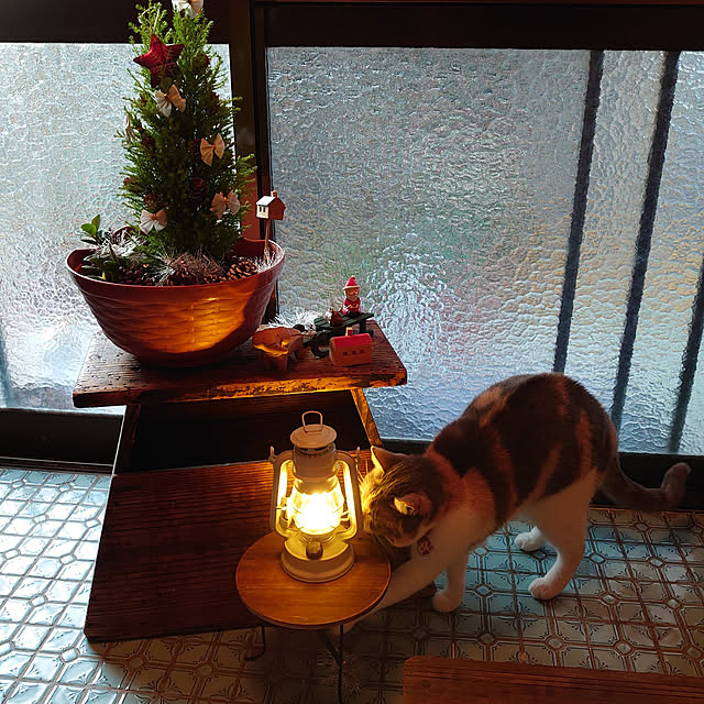 fukuさんの実例写真