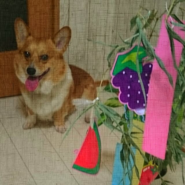 yukiさんの実例写真
