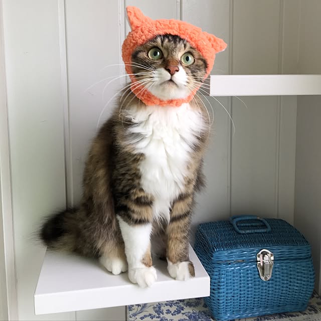 yuchiさんの実例写真