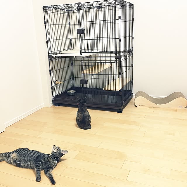 yuuuuuriさんの実例写真